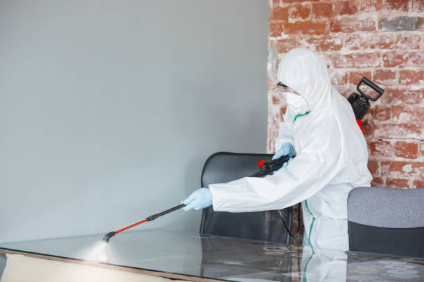 Why You Should Choose Our Mold Remediation Services in Raymond, WA